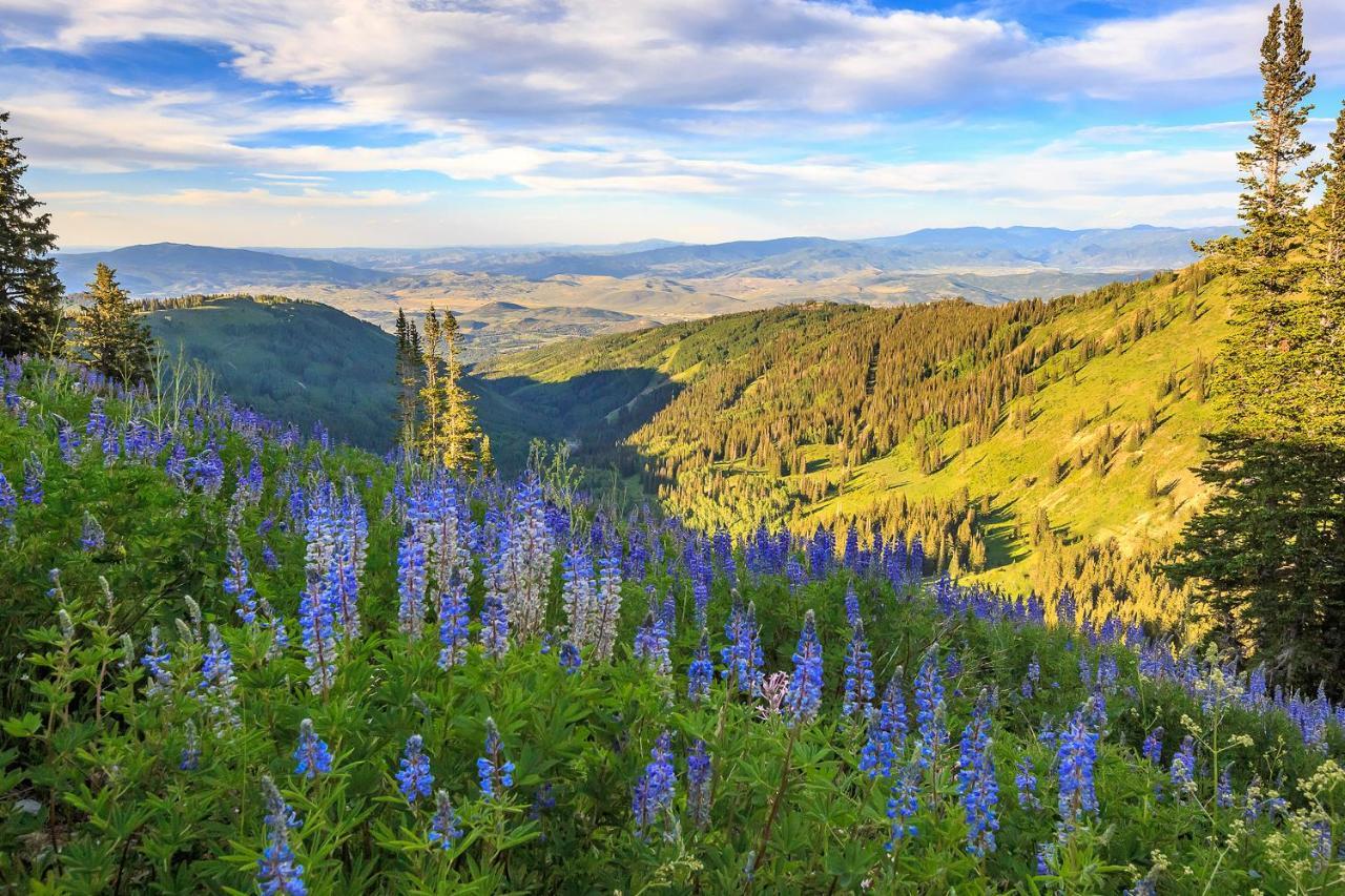 Homestake Haven 366 パークシティ エクステリア 写真